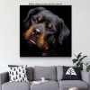 2019 Special Dog Rottweiler Pictures 5d Diy Diamond Painting Kits