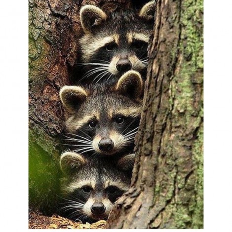 5D DIY Diamond Painting Kits Cute Raccoon Family