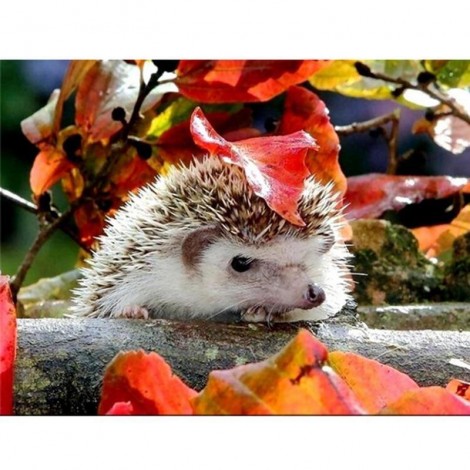 5D DIY Diamond Painting Kits Cute Hedgehog Leaves