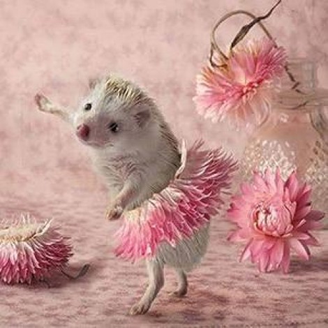 5D DIY Diamond Painting Kits Funny Cute Pink Tutu Hedgehog