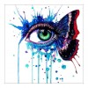 5D DIY Diamond Painting Kits Special Butterfly Eye