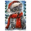 5D DIY Diamond Painting Kits Cartoon Christmas Special Cat