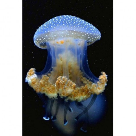 5D DIY Diamond Painting Kits Colorful Beautiful Jellyfish