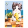 5D Diamond Painting Kits Listen Music Cute Cat