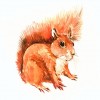 5D Diamond Painting Kits Cartoon Squirrel