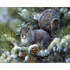5D DIY Diamond Painting Kits Snow Squirrels