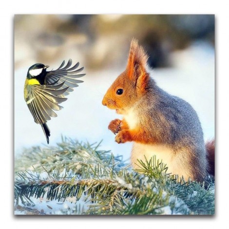 5D DIY Diamond Painting Kits Winter Cute Squirrel & Bird