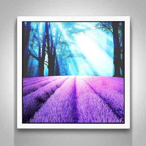 5D DIY Diamond Painting Kits Beautiful Forest Lavender Fields Nature