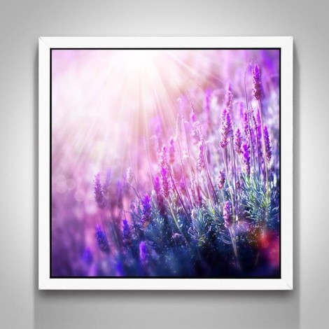 5D DIY Diamond Painting Kits Purple Lavender Fields Nature