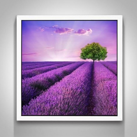 5D DIY Diamond Painting Kits Lavender Fields Nature
