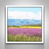 5D DIY Diamond Painting Kits Beautiful Lavender Field Nature