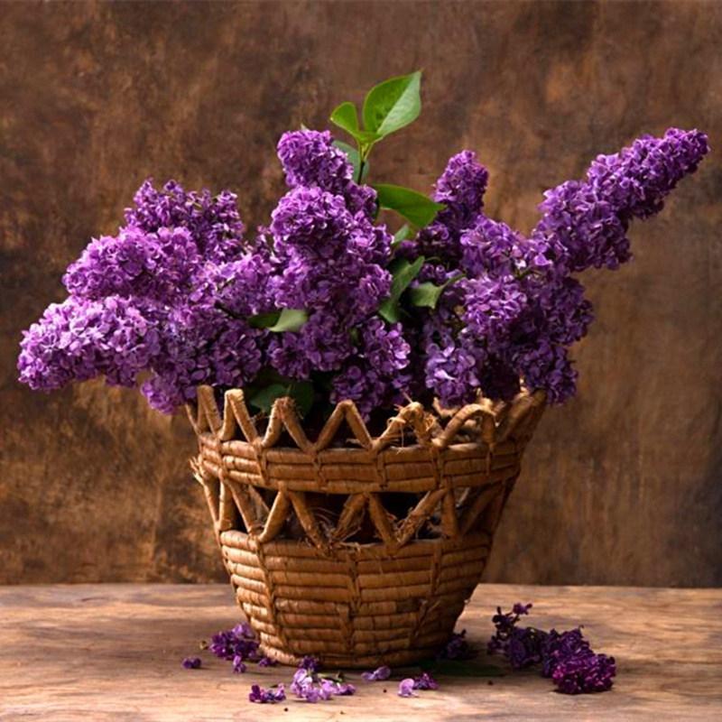 Lavender 5d Diy Diam...