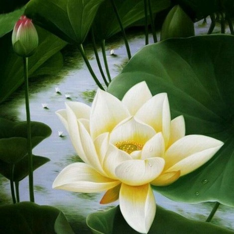 5D DIY Diamond Painting Kits Beautiful Pure Lotus