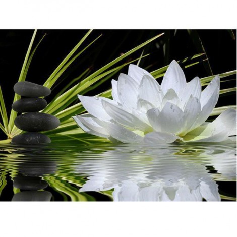 5D DIY Diamond Painting Kits White Lotus Flower