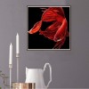 5D DIY Diamond Painting Kits Red Fish