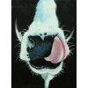 2019 New Cow 5D Diy Embroidery Cross Stitch Diamond Painting Kits