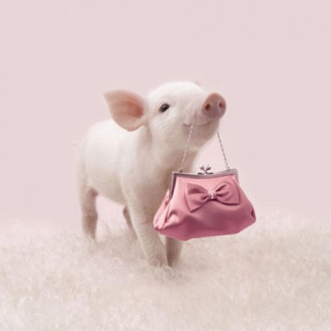 5D DIY Diamond Painting Kits Funny Cute Pig Pink Handbag