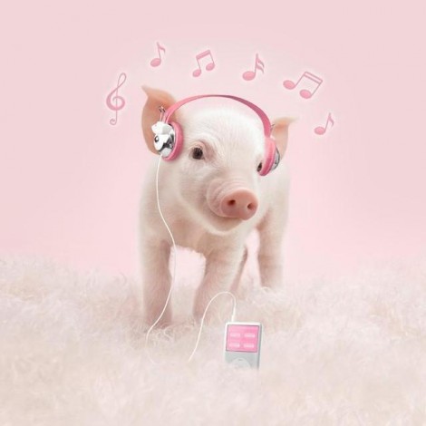 5D DIY Diamond Painting Kits Music Pink Pig