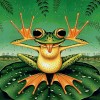 5D DIY Diamond Painting Kits Colorful Funny Frog