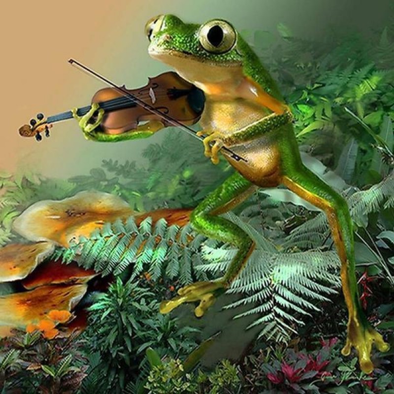 2019 Modern Art Frog...