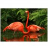 5D DIY Diamond Painting Kits Red Flamingos in the Lake