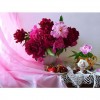 5D DIY Diamond Painting Kits Artistic Flowers Fruit Tableware