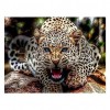 5D DIY Diamond Painting Kits Animal Portrait Leopard