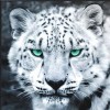 5D DIY Diamond Painting Kits Cool Animal Leopard