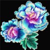 5D DIY Diamond Painting Kits Delicate Blue Flowers