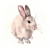 5D DIY Diamond Painting Kits Cartoon Cute Rabbit