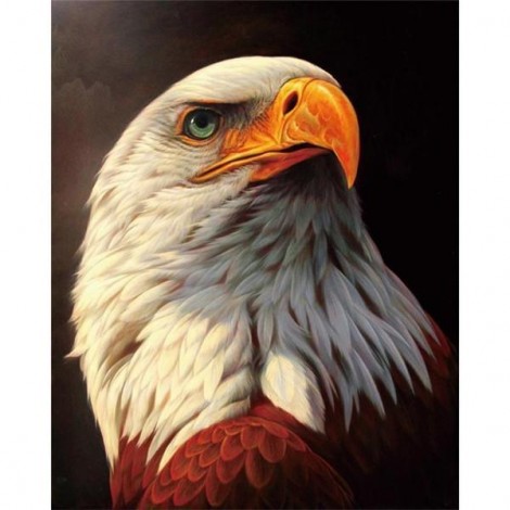 2019 Hot Sale Animal Eagle Portrait 5d Diy Diamond Painting Kits