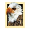 5D DIY Diamond Painting Kits Serious Eagle Head