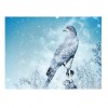 5D DIY Diamond Painting Kits Fantastic Winter Forest Cool Eagle