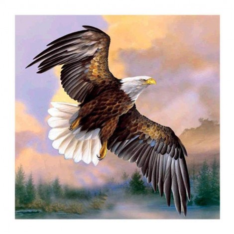 5D DIY Diamond Painting Kits Popular Watercolor Eagle Flying