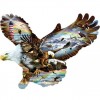 5D DIY Diamond Painting Kits Special Cool Eagle