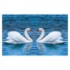 5D DIY Diamond Painting Kits Loving Swan in the Lake