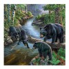 5D DIY Diamond Painting Kits Family Bear Playing Water in the Forest
