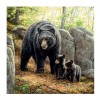 5D DIY Diamond Painting Kits Dream Bear Family
