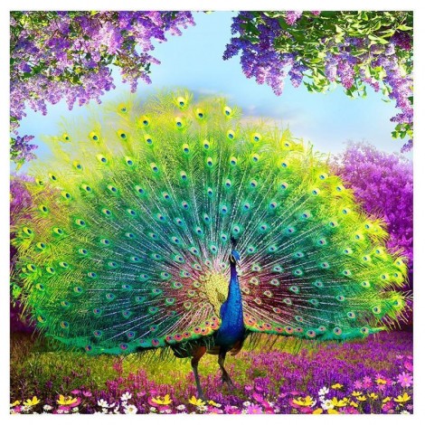 5D DIY Diamond Painting Kits Dream Beautiful Peacock