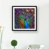 2019 New Dream Elegant Peacock 5d Diamond Painting Embroidery VICM1033