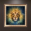 5D DIY Diamond Painting Kits Fantastic Animal Lion Starry Sky
