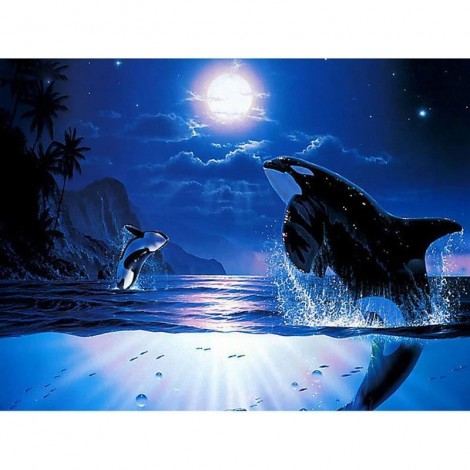 5D DIY Diamond Painting Kits Fantastic Dream Dolphin Moon Night