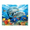 5D DIY Diamond Painting Kits Dream Sea World Animal Dolphins