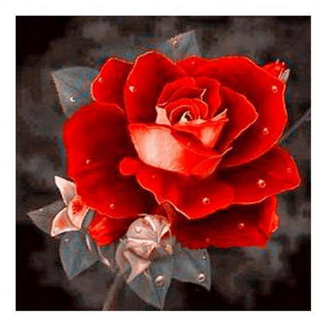 5D DIY Diamond Painting Kits Special Pretty Rose