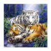 5D DIY Diamond Painting Kits Dream Special Cool Animal Tigers