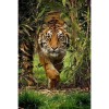 5D DIY Diamond Painting Kits Cool Jungle Tiger in the Forest