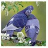 5D DIY Diamond Painting Kits Cartoon Dove Lover on the Flowers Branch