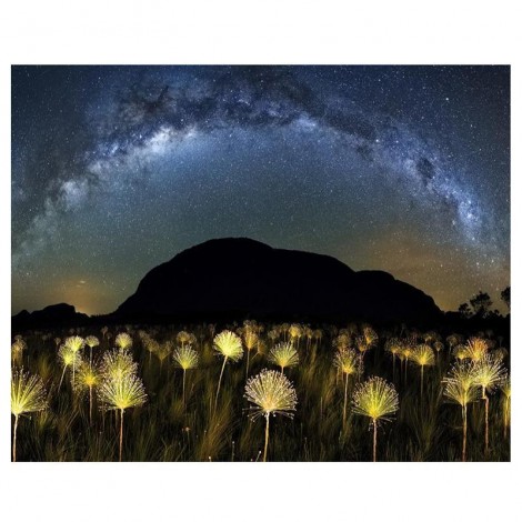 5D DIY Diamond Painting Kits Dream Galaxy Sky Light Dandelions