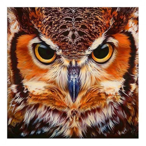 5D DIY Diamond Painting Kits Cartoon Cool Owl