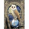 5D DIY Diamond Painting Kits Cool Cartoon Magic Owl